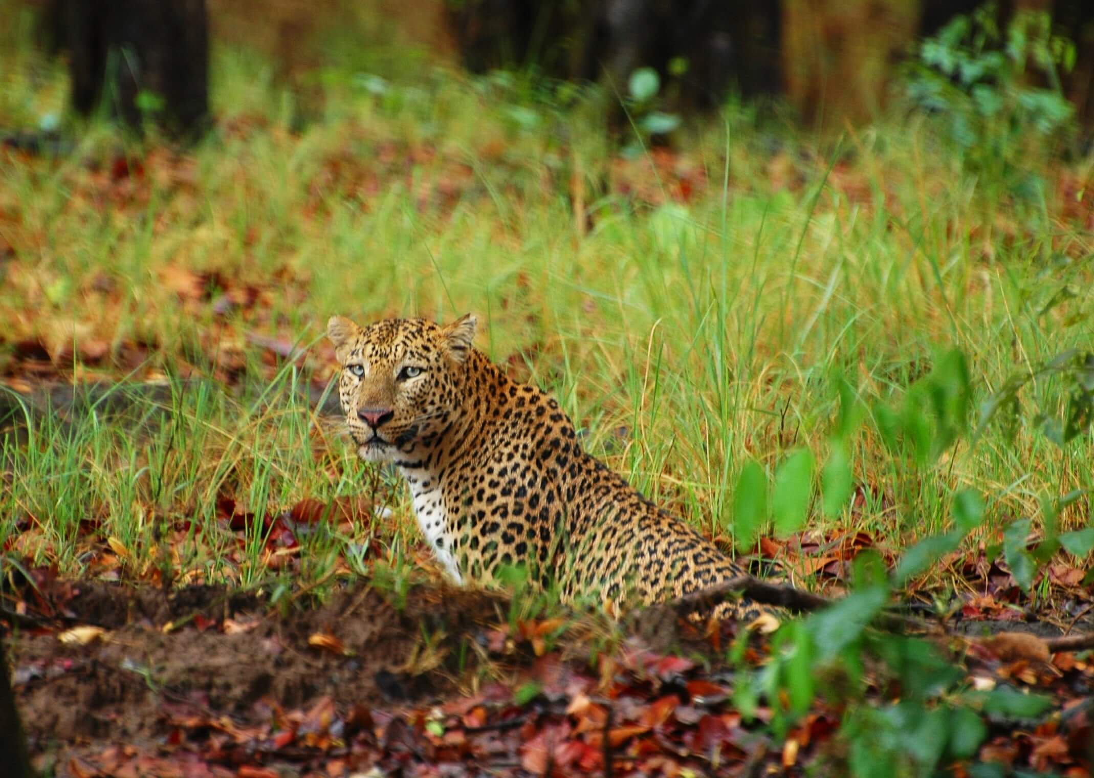 management-objectives