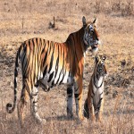 training-and-awareness